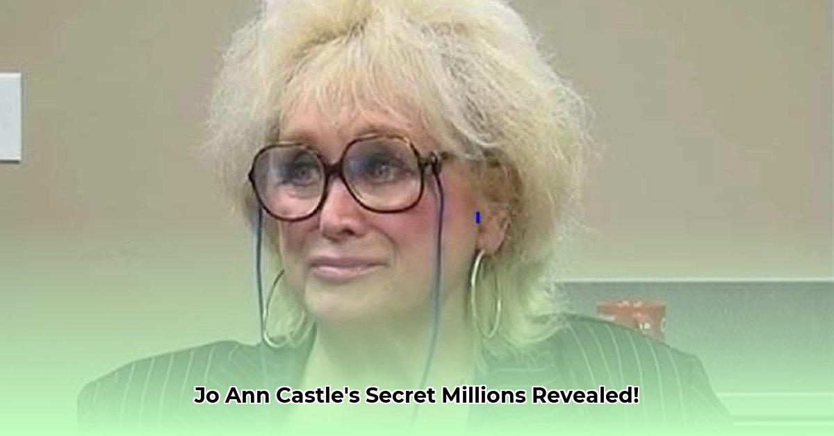 jo-ann-castle-net-worth
